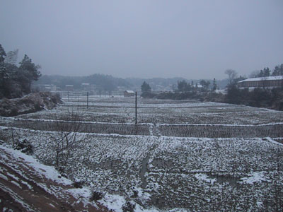 雪景