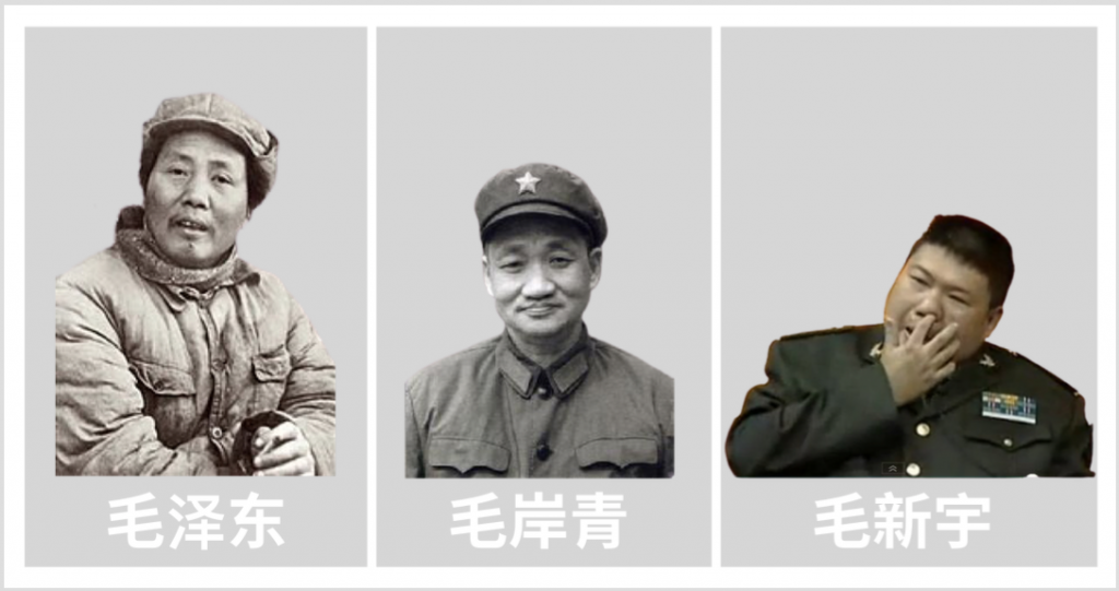 毛家三代,毛泽东,毛岸青,毛新宇